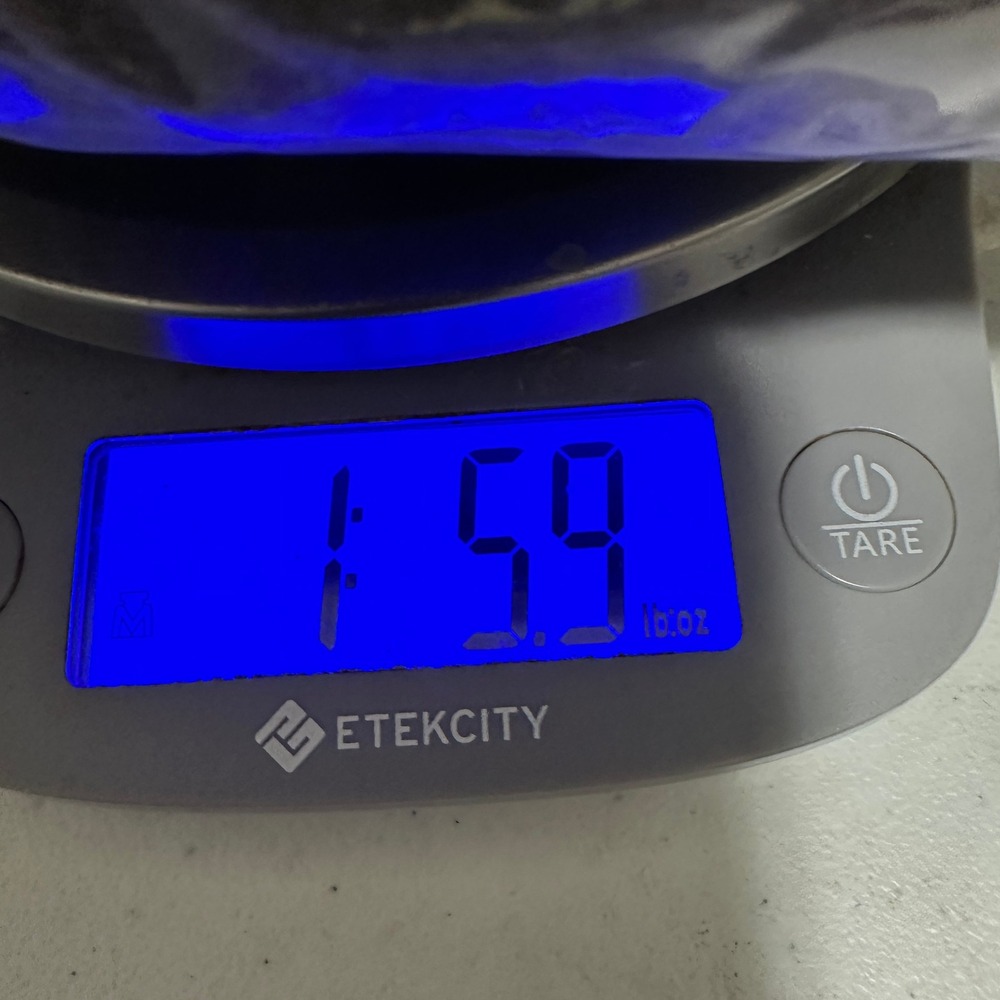 Six Flags Looney Tunes Marvin the Martian Camo Pullover Hoodie Green Mens Large - Picture 12 of 12